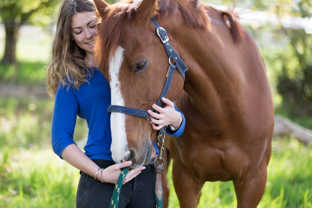 Horse Owner Feeding Her Horse CBD
