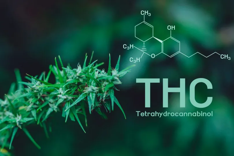 Hemp Derived THC Products