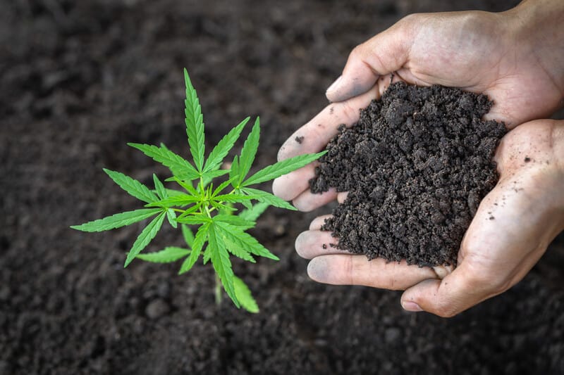 benefits of growing weed with compost