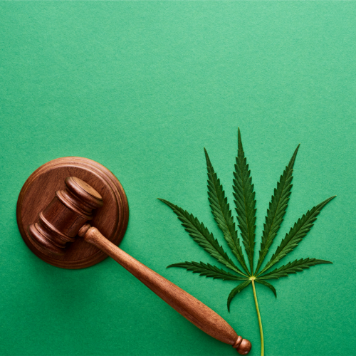 What is the Difference Between State & Federal Hemp Regulations?