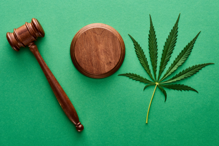 top view of green marijuana leaf with wooden gavel